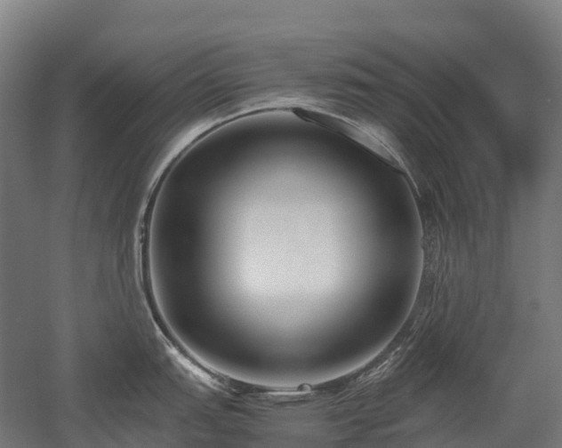 X0000052951151200507151702