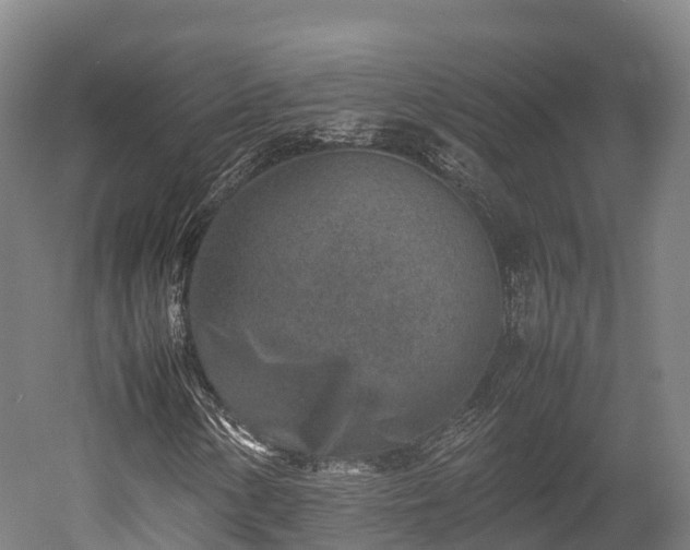 X0000052951154200507151702