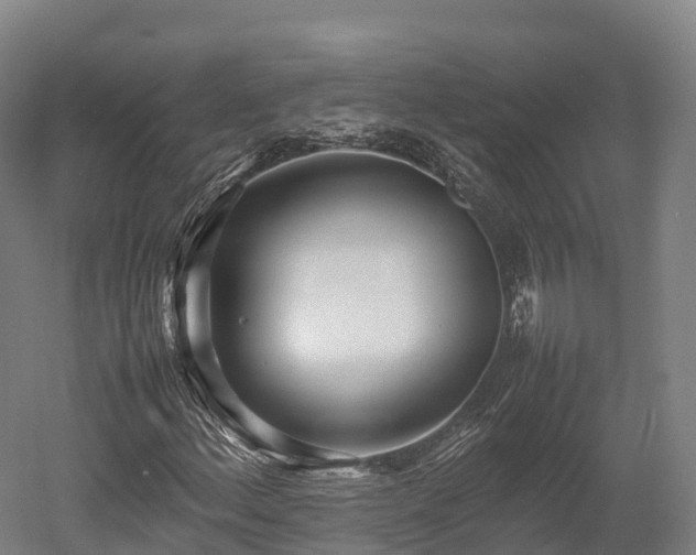 X0000052951156200507151702