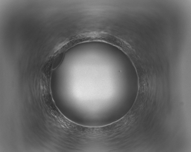 X0000052951158200507151702