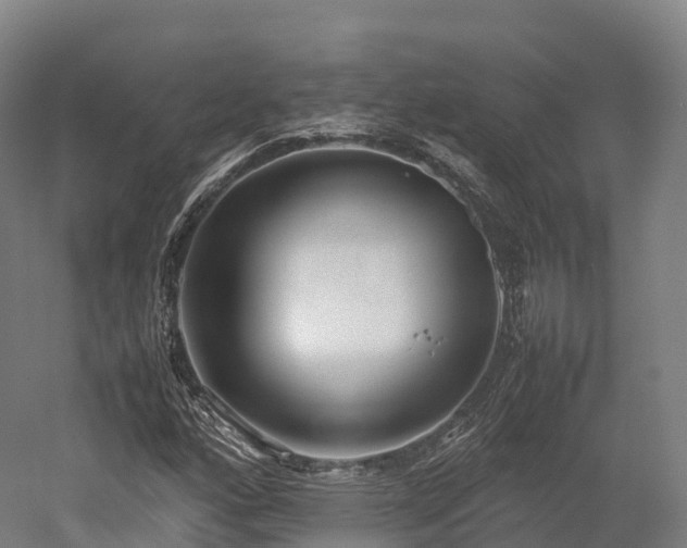 X0000052951160200507151702