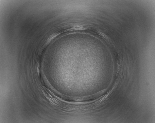 X0000052951161200507151702