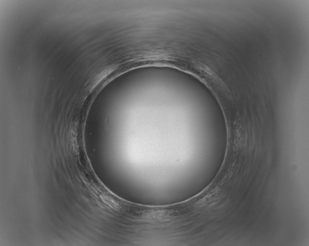X0000052951162200507151702