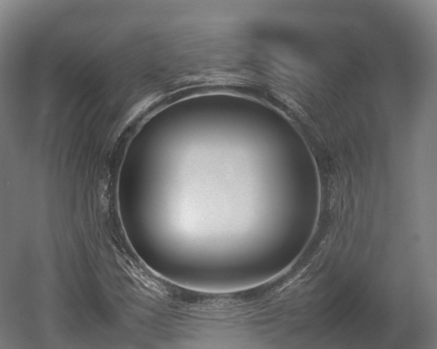 X0000052951163200507151701