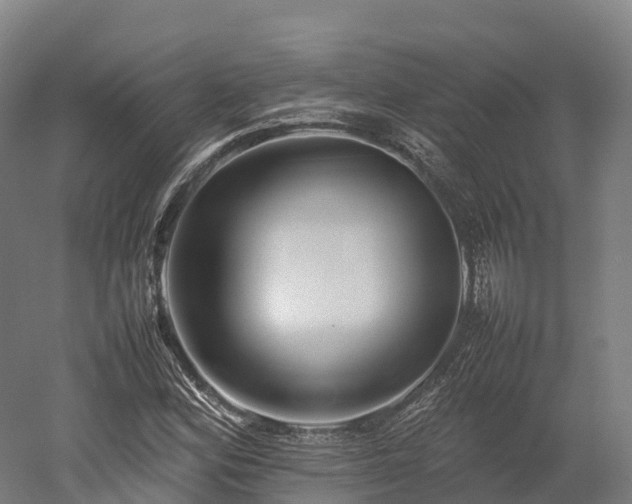 X0000052951164200507151701
