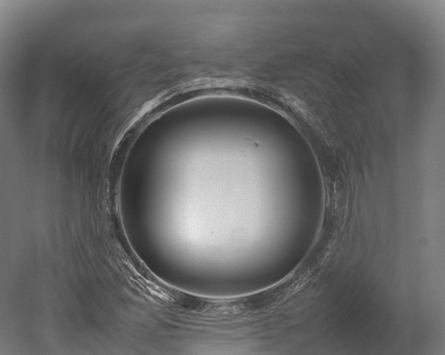 X0000052951165200507151701