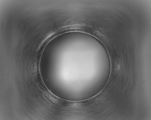 X0000052951166200507151701