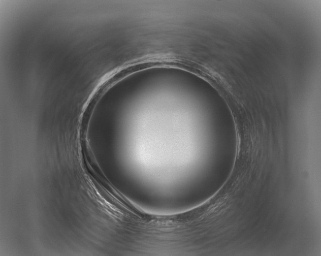 X0000052951168200507151701