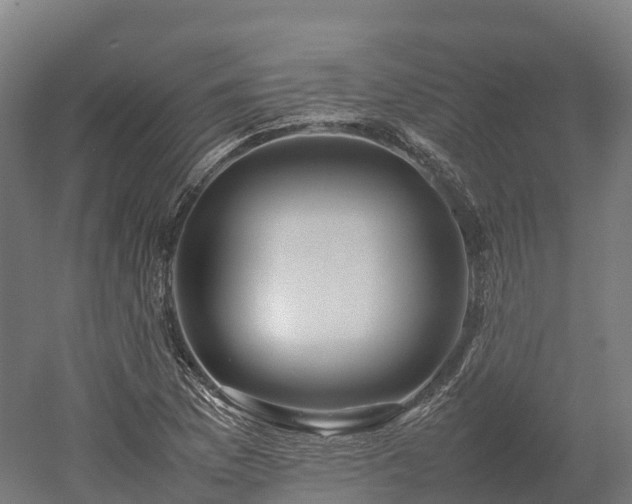 X0000052951169200507151701