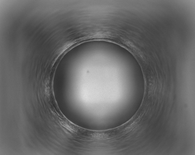 X0000052951170200507151701