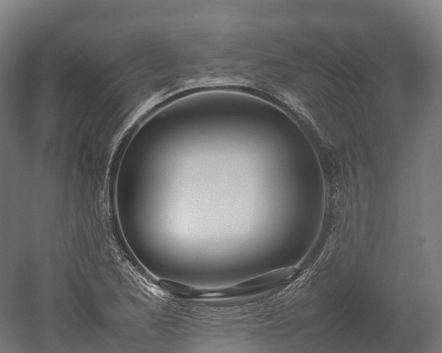 X0000052951173200507151701