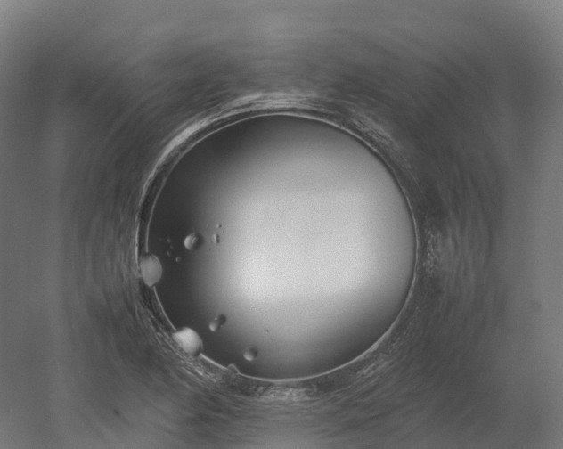 X0000052951174200507151701