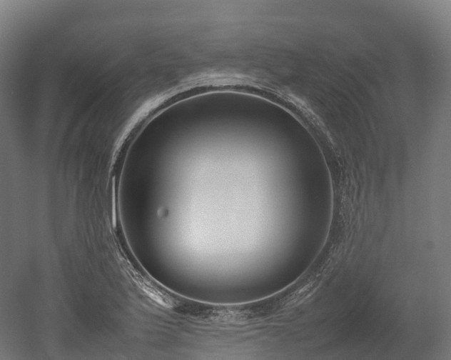X0000052951175200507151701