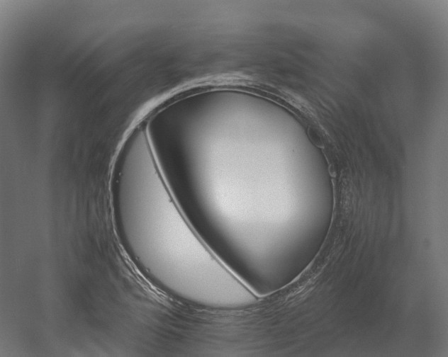 X0000052951176200507151701