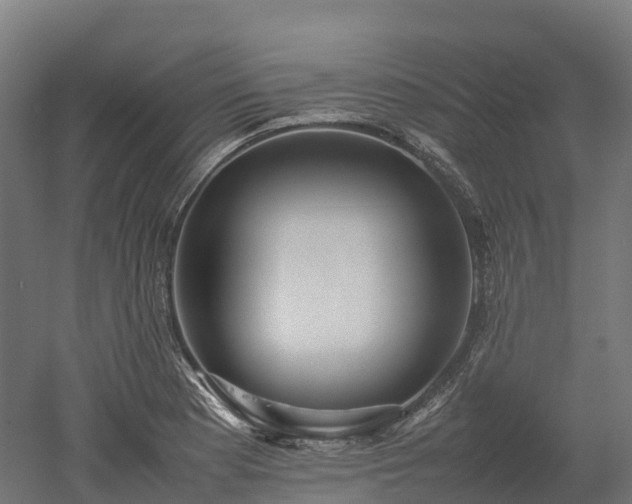X0000052951177200507151701