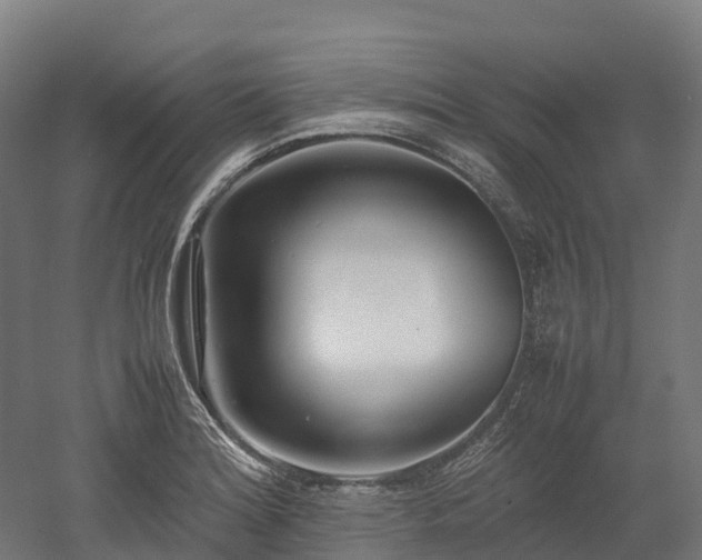 X0000052951180200507151701