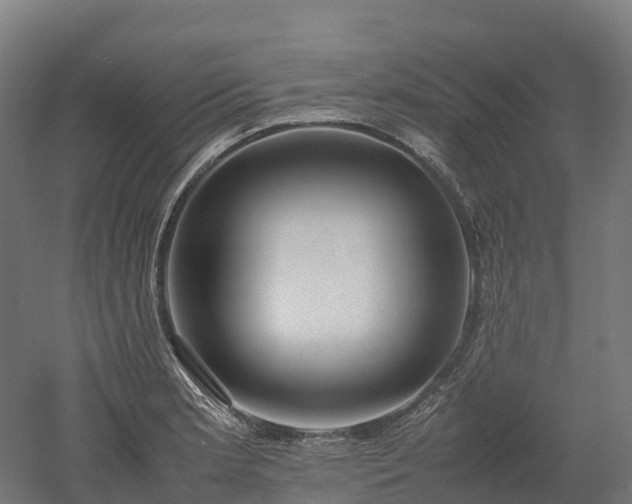 X0000052951181200507151701