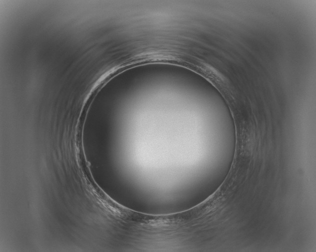 X0000052951182200507151701