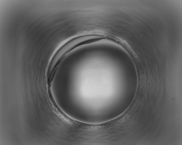 X0000052951184200507151701