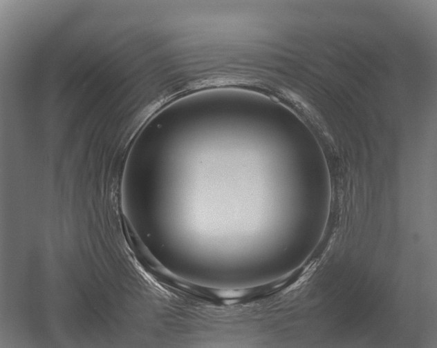 X0000052951185200507151701