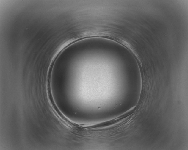 X0000052951187200507151701
