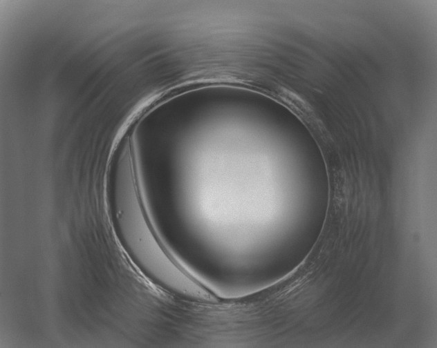 X0000052951188200507151701