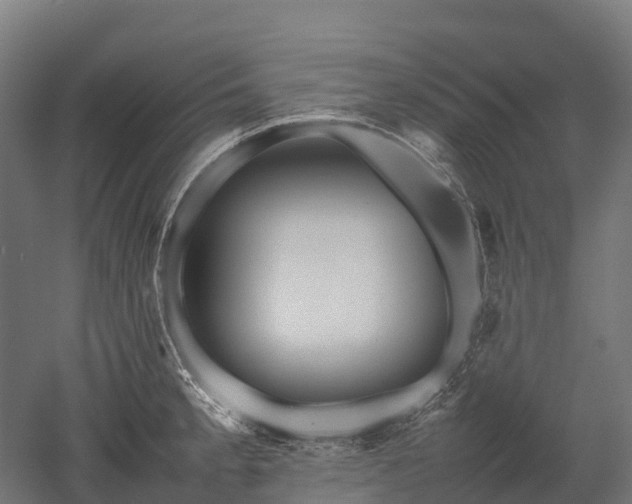 X0000052951189200507151701