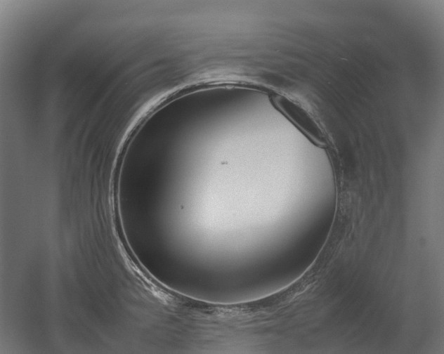 X0000052951191200507151701