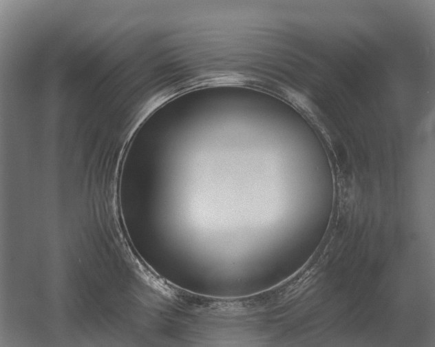 X0000052951194200507151701