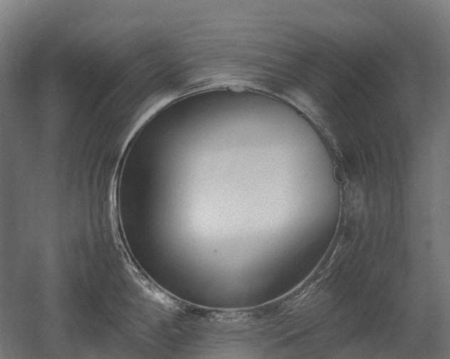 X0000052951198200507151701