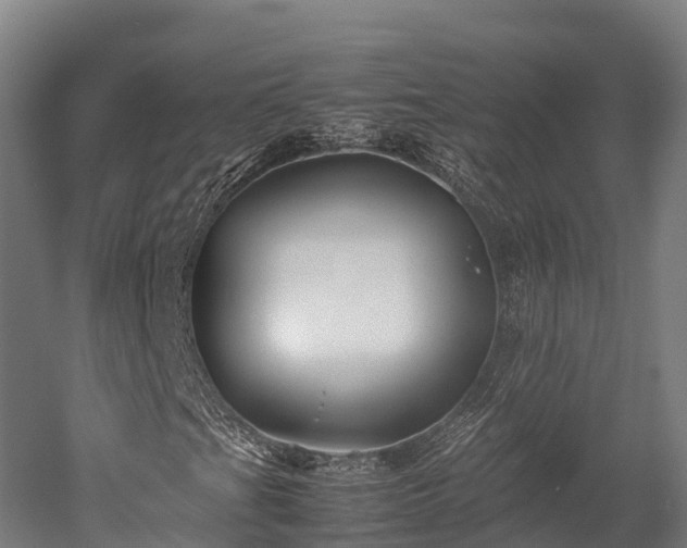 X0000052951201200507151700