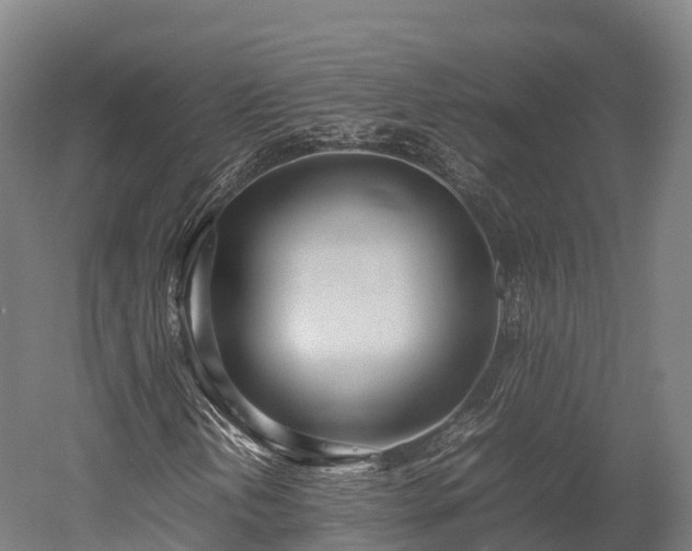 X0000052951202200507151700
