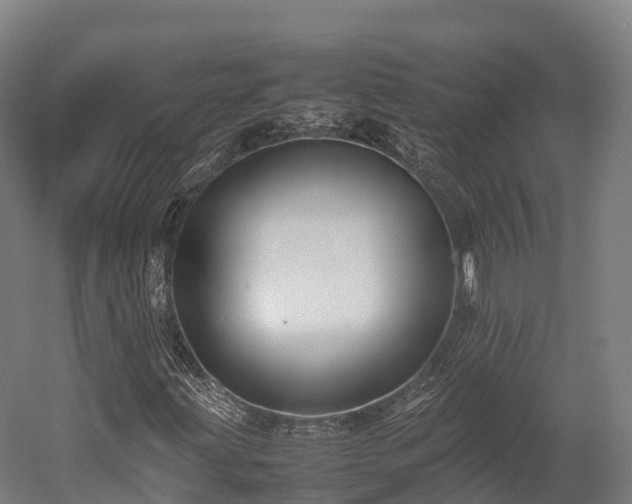 X0000052951203200507151700