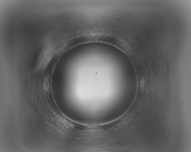 X0000052951204200507151700