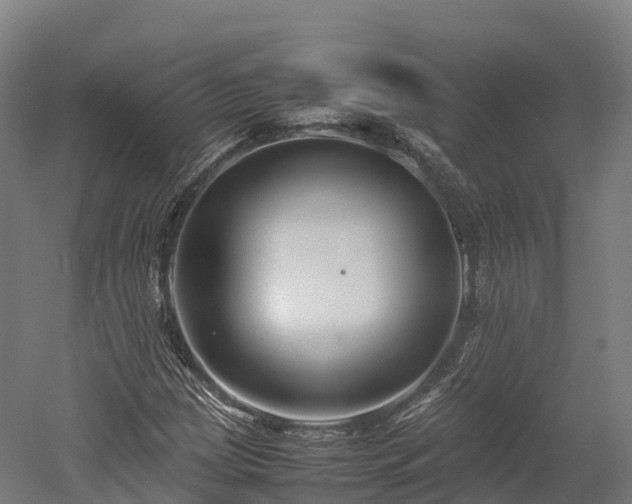 X0000052951209200507151700