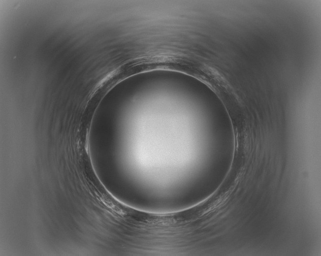 X0000052951210200507151700