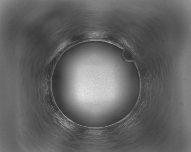 X0000052951211200507151700
