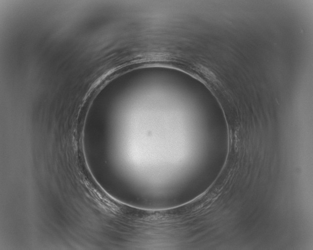 X0000052951212200507151700