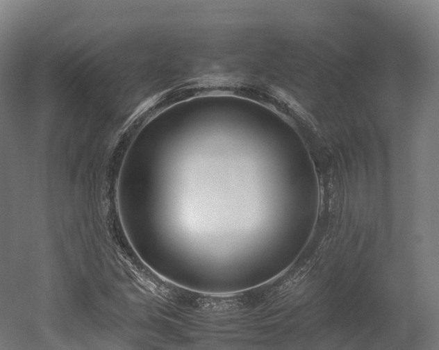 X0000052951213200507151700