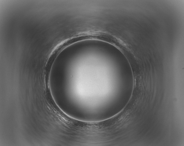 X0000052951214200507151700