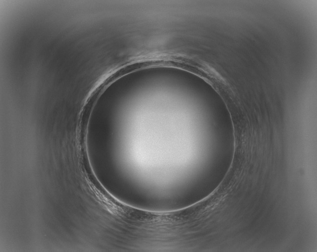 X0000052951216200507151700