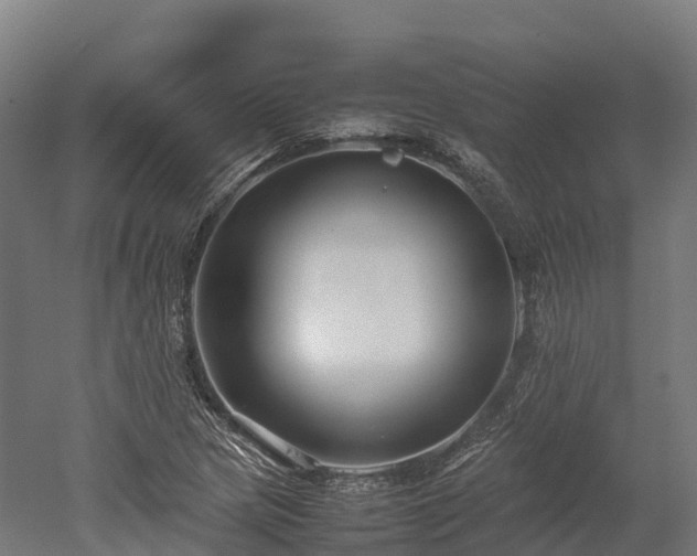 X0000052951217200507151700