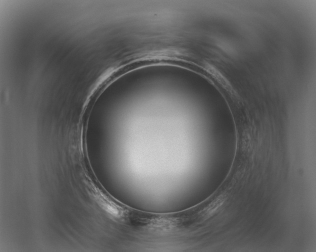 X0000052951224200507151700