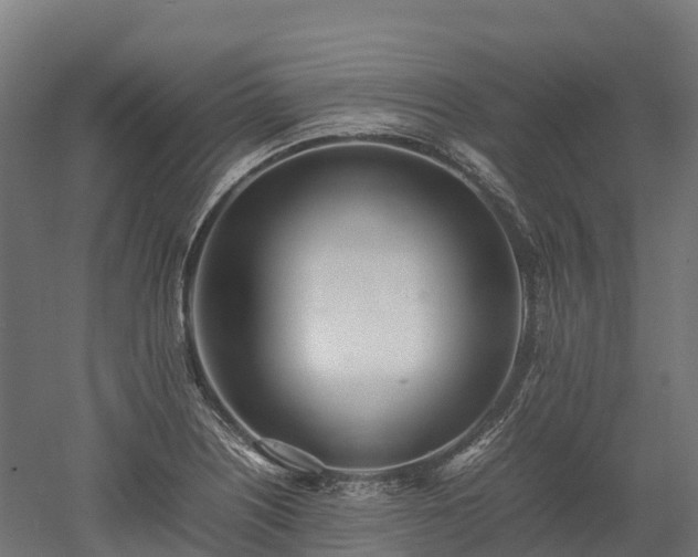 X0000052951226200507151700