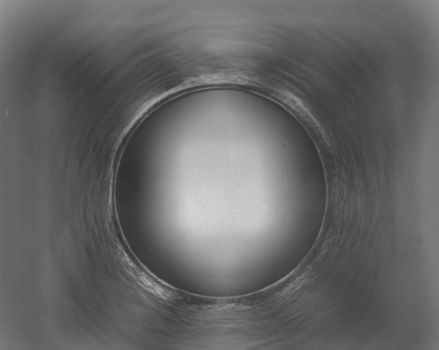 X0000052951228200507151700