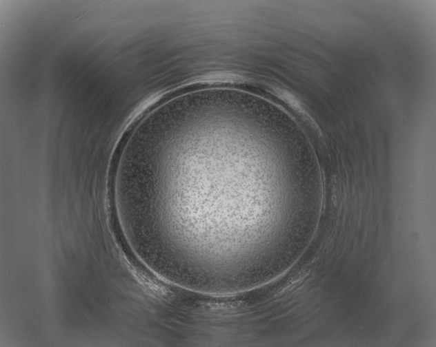 X0000052951229200507151701