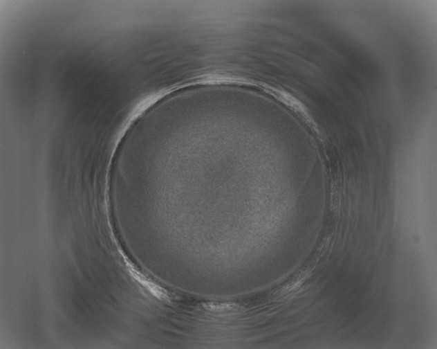 X0000052951231200507151701