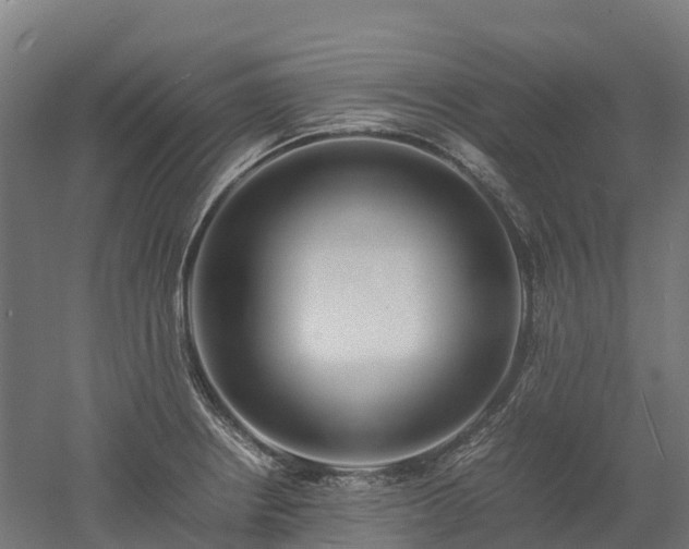 X0000052951234200507151701
