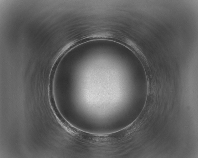 X0000052951237200507151701