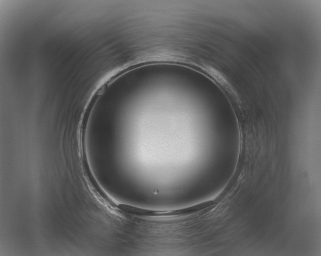X0000052951238200507151701